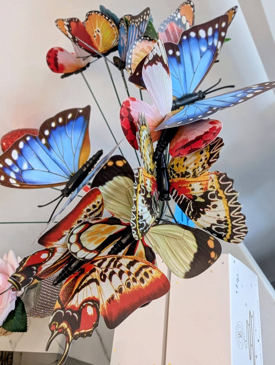 Butterfly art prints