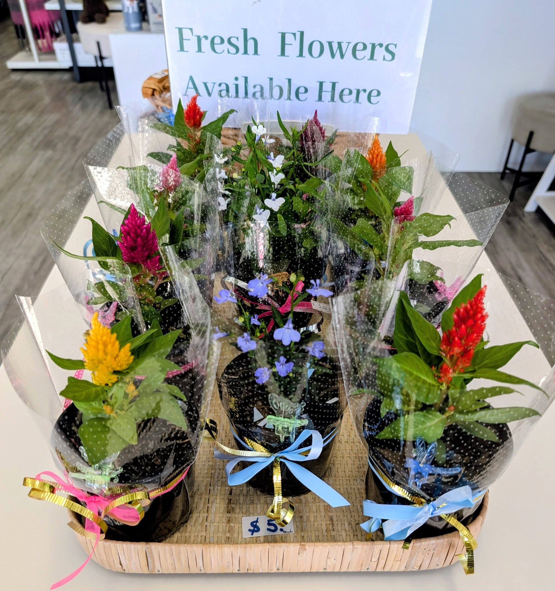 Floral gifts