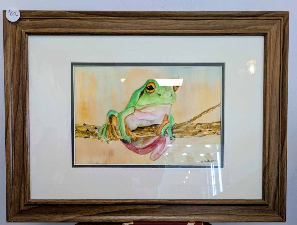 Frog art display